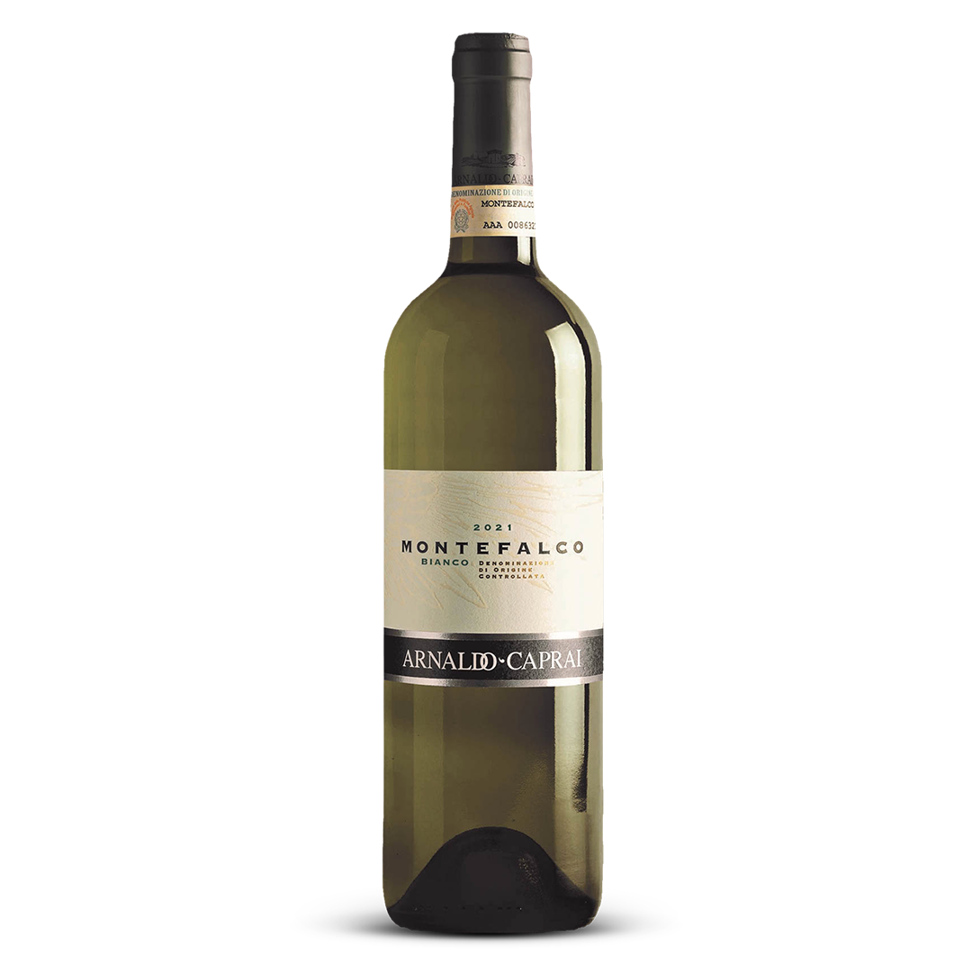 Montefalco Bianco 2023
